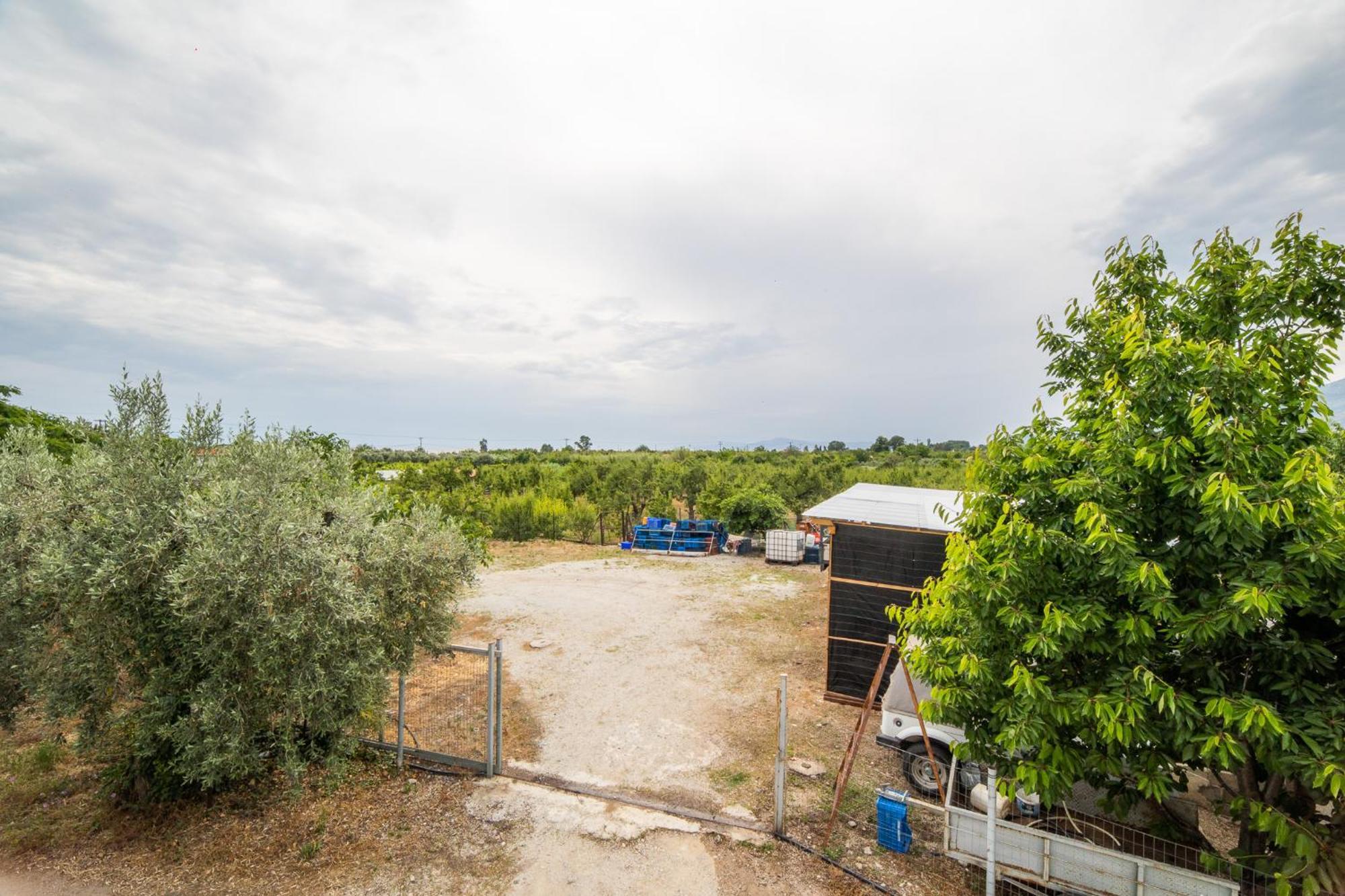 אפיסוס Seralis Pelion מראה חיצוני תמונה